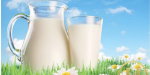 Cách giảm cân với sữa tươi không đường